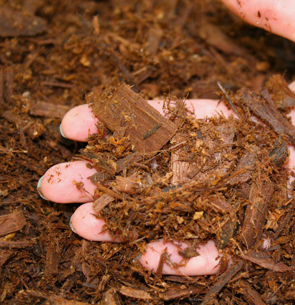 Mulch